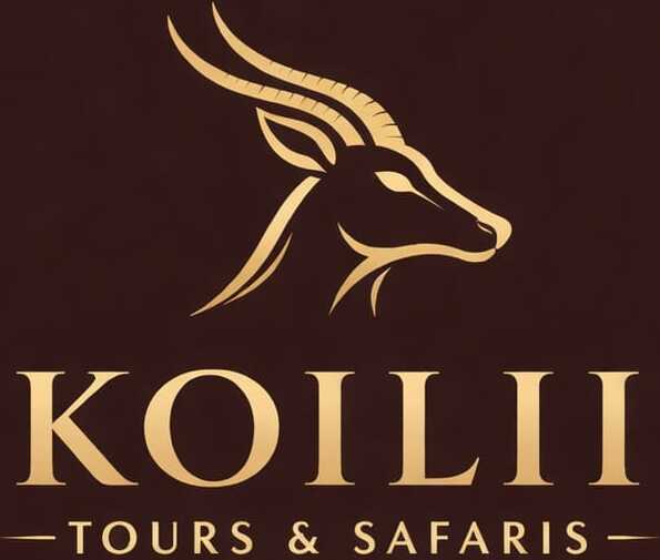 Koilii Tours